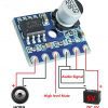 2 X Placa Modulo Amplificador Audio Xh-m125 Xpt8871 5w 3-5v